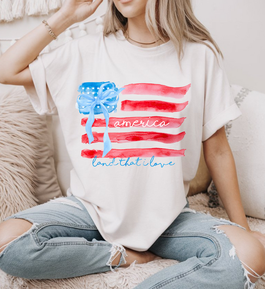 Painted flag